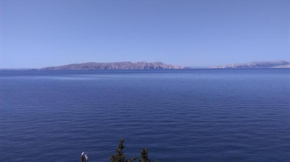 Mali delfin, Sveti Juraj